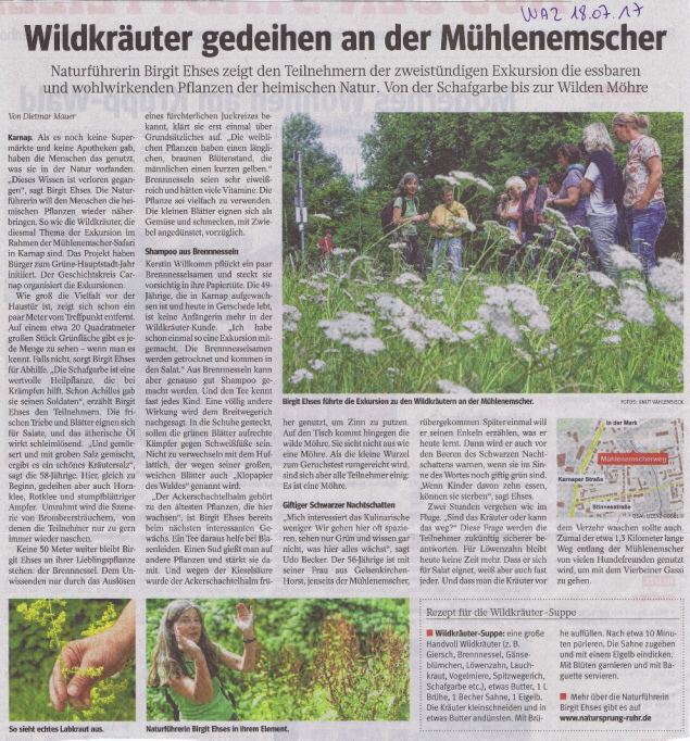 Zum Vergrößern auf das Bild klicken!